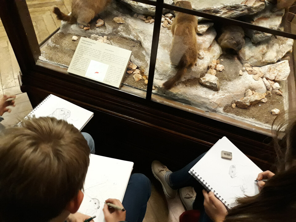 Mit Stift und Papier durch Wiens schönste Museen
