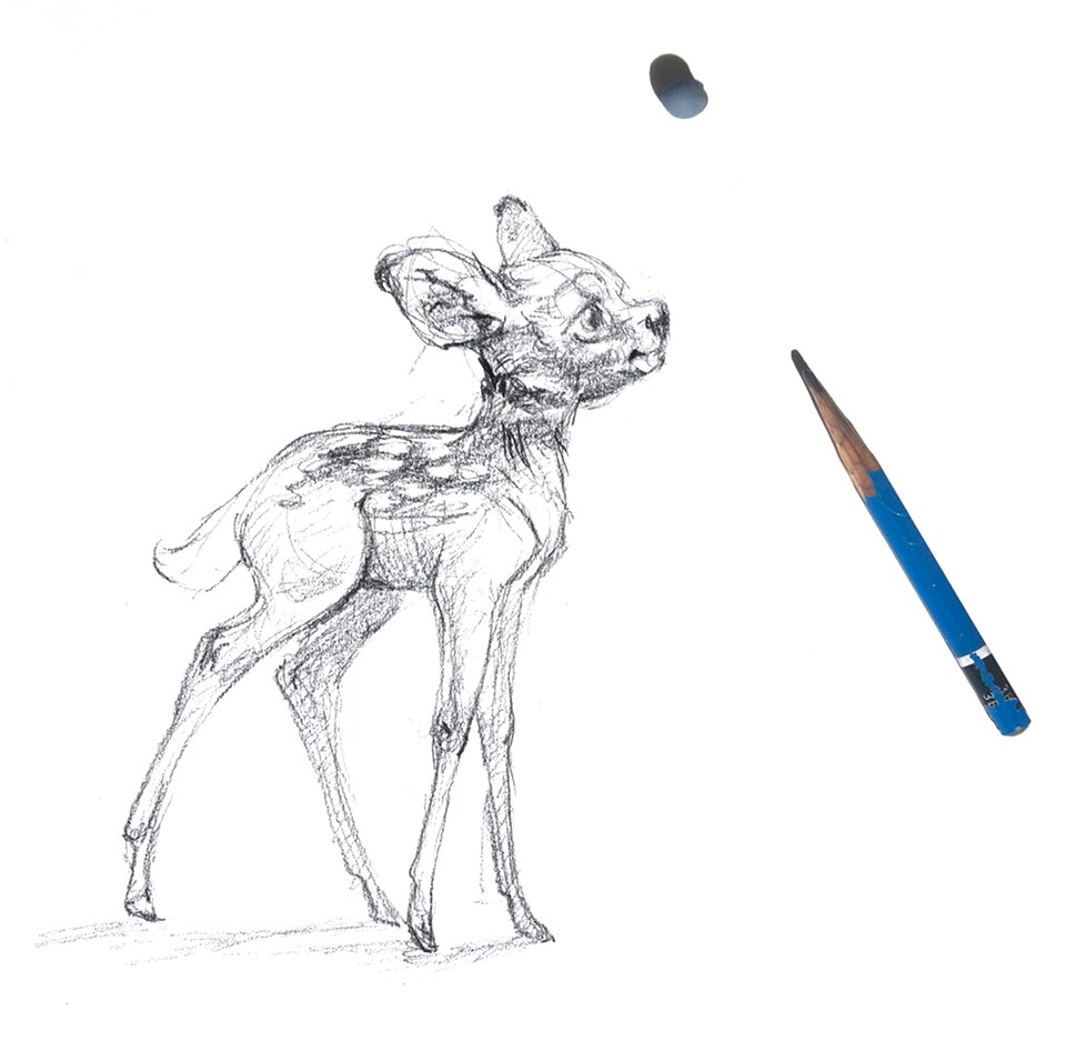 Basiskurs Illustration