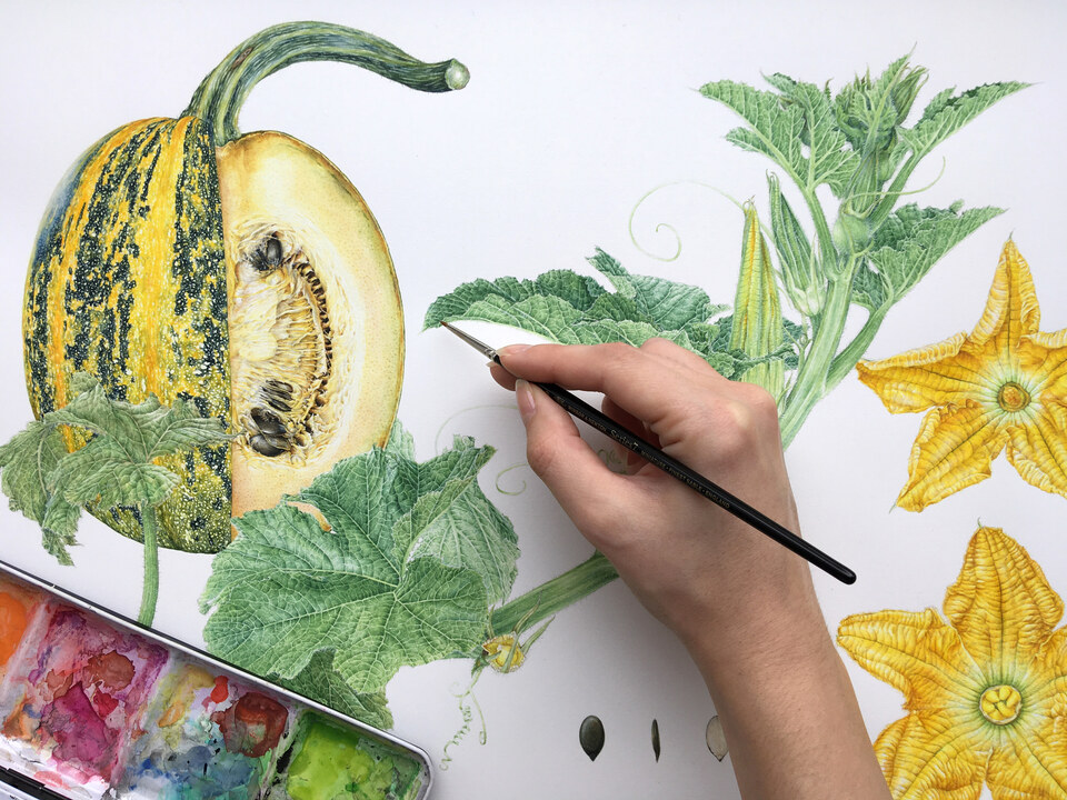 Botanische Illustration: Sommerworkshop zum realistischen Malen von Pflanzen in Aquarell