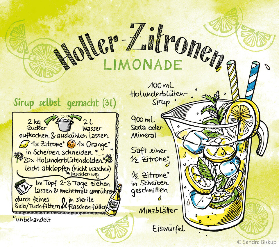 Köstliche Rezepte illustrieren
