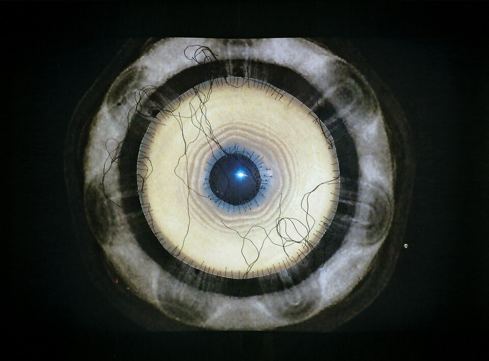 In the Blink of an Eye