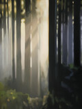 WALD