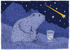 Illustration Skillset