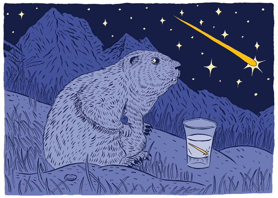Illustration Skillset