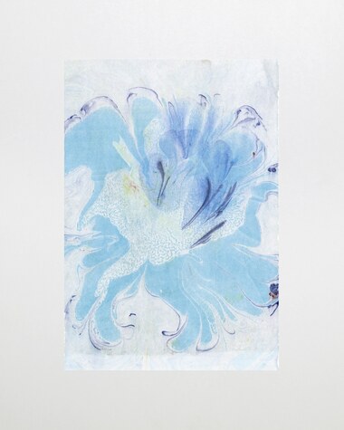 Water Flower 20