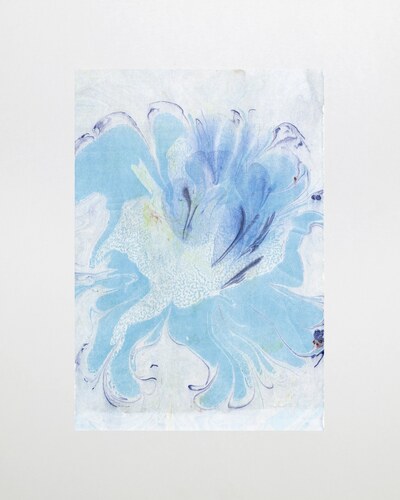 Water Flower 20