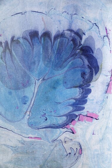 Water Flower 18