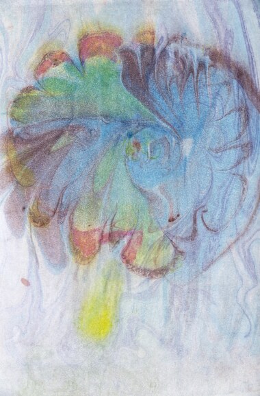 Water Flower 17