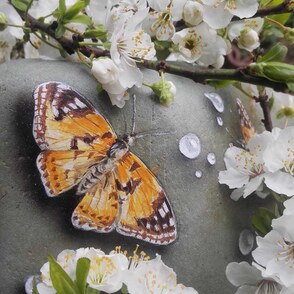 Die Natur als Leinwand