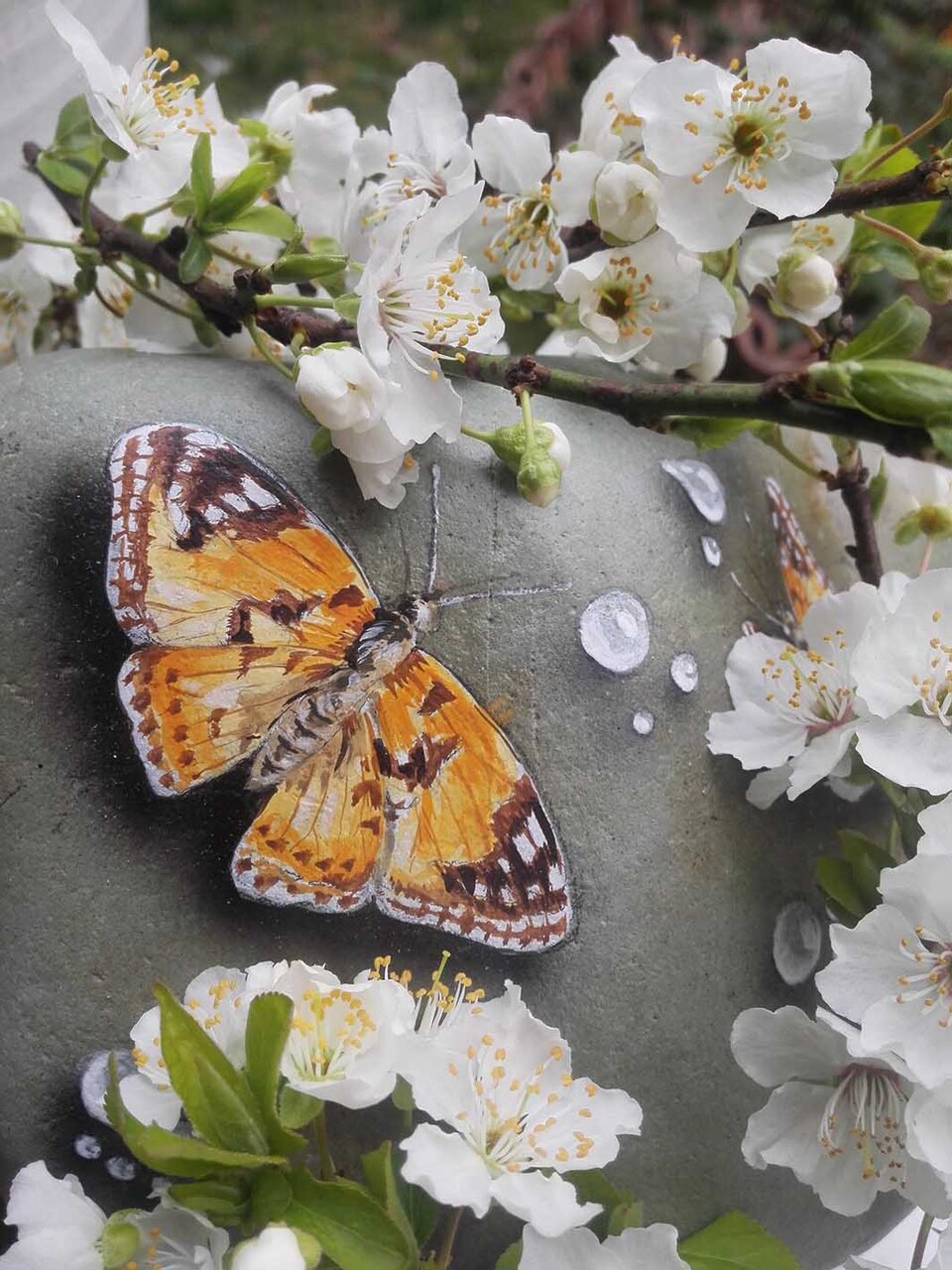 Schmetterling