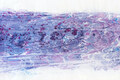 detail of Ebru painting