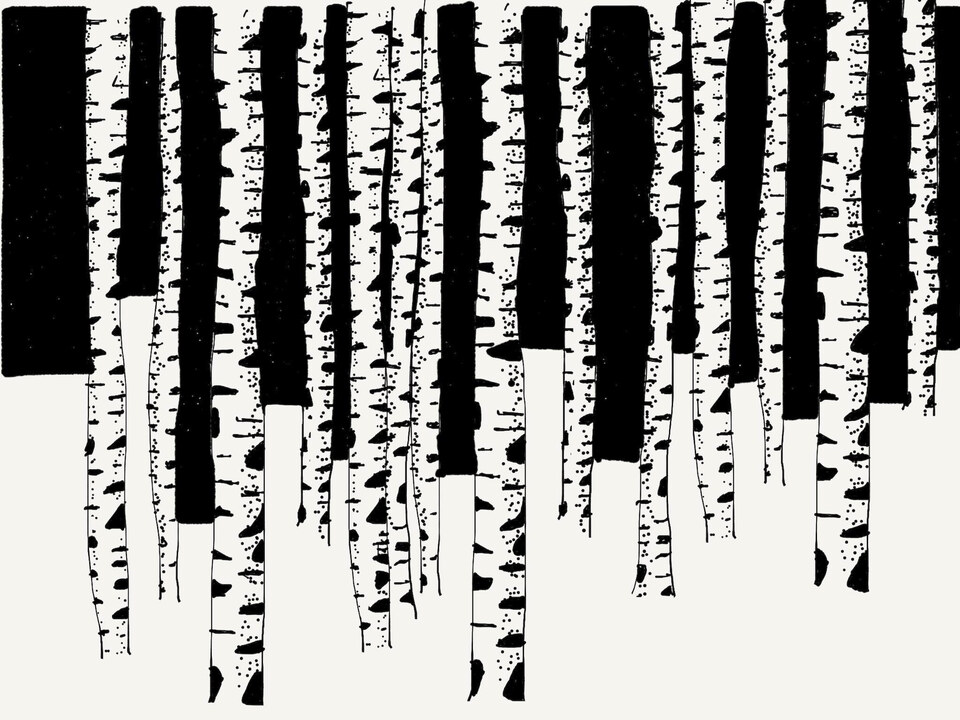 Alltagsgeschichten: ein visuelles Tagebuch
