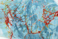 detail of Ebru painting