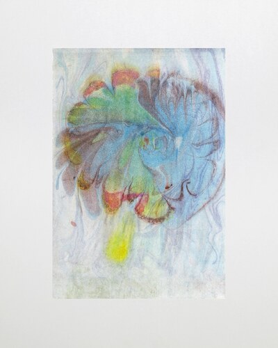 Water Flower 17